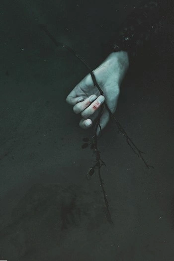 Пустоцвет (Сборник) - Игорь Шанин